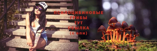 круглые Аркадак