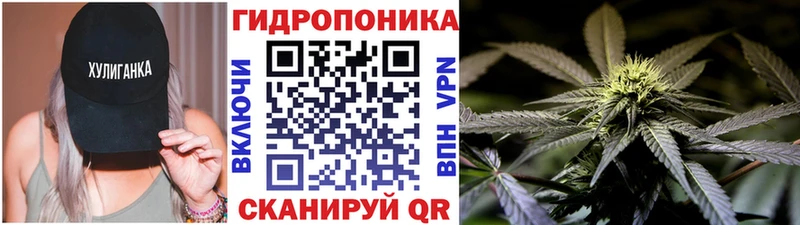 Конопля White Widow Межгорье